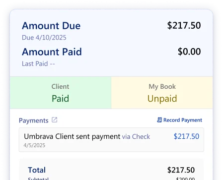 Client Invoice Summary card preview